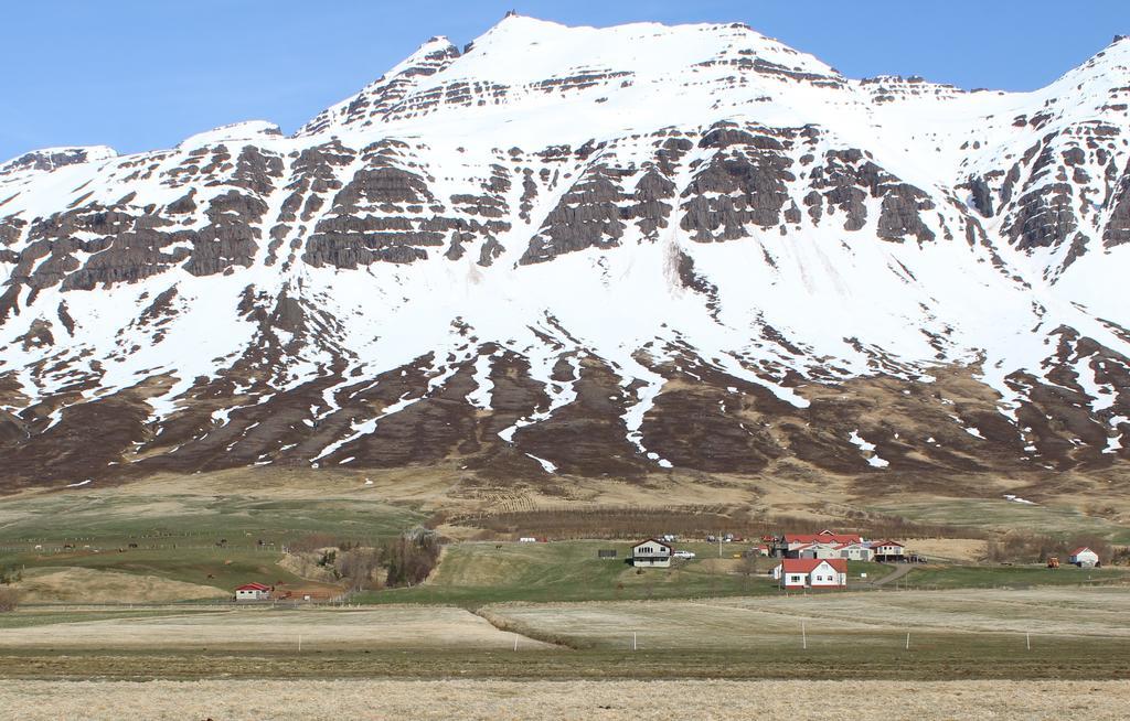 Villa Skorrahestar à Neskaupstaður Extérieur photo
